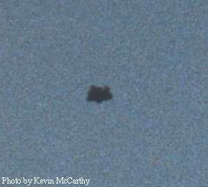 UFO
                        Photo by Kevin McCarthy - Burnaby, BC - 1995
