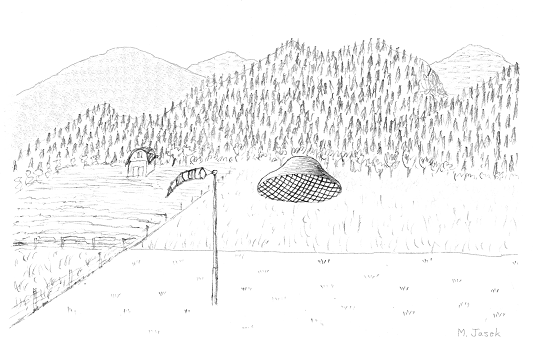 Vedder River UFO - Drawing by Martin Jasek