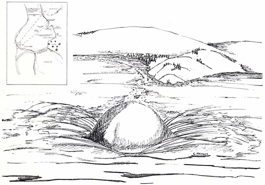 Kelowna
                        Ferry Drawing 1