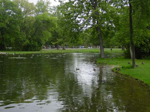 Tenney park